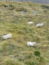 09_holmavik_060.JPG