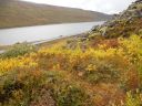 09_holmavik_083.JPG