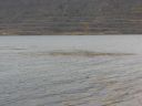 09_holmavik_091.JPG