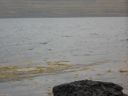 09_holmavik_098.JPG