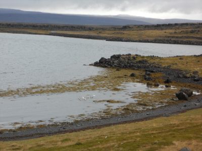 09_holmavik_140.JPG