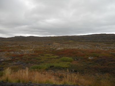 09_holmavik_152.JPG