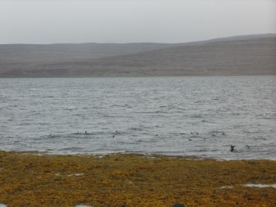 09_holmavik_154.JPG