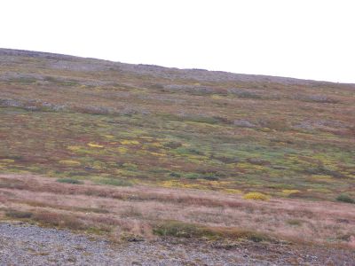 09_holmavik_179.JPG