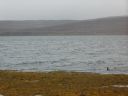 09_holmavik_154.JPG