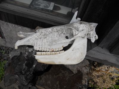 09_holmavik_223.JPG