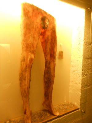 09_holmavik_230.JPG