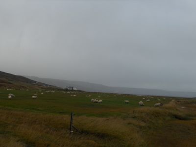 09_holmavik_252.JPG