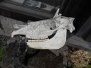 09_holmavik_223.JPG