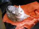 09_holmavik_225.JPG
