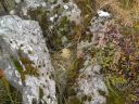 11_myvatn_094.JPG