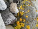 11_myvatn_095.JPG