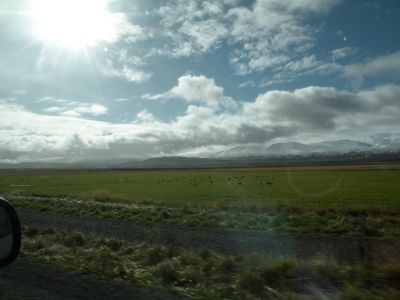 11_myvatn_154.JPG