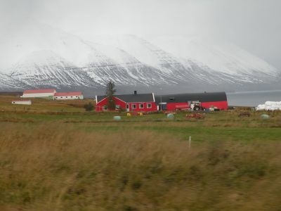 11_myvatn_193.JPG