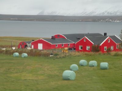 11_myvatn_194.JPG