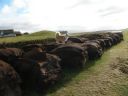 11_myvatn_146.JPG