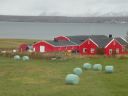 11_myvatn_194.JPG