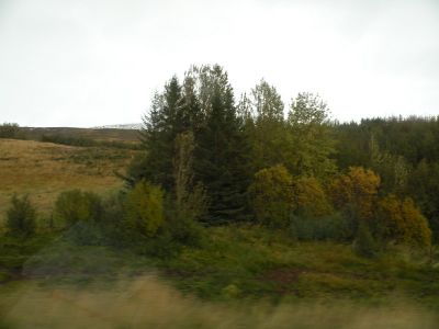 11_myvatn_283.JPG
