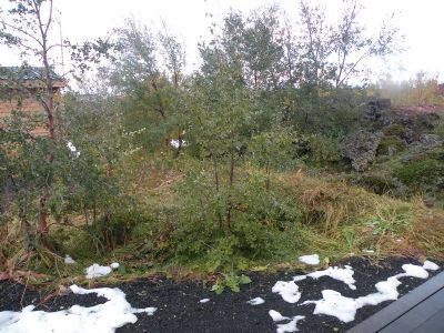 12_myvatn_001.JPG