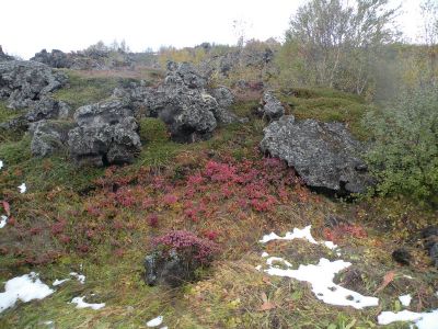 12_myvatn_015.JPG