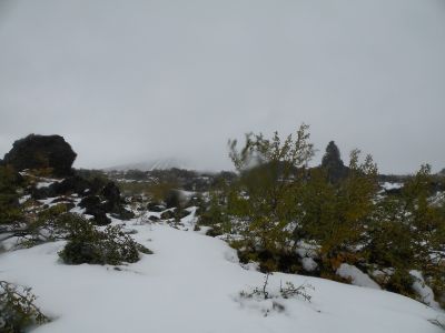 12_myvatn_043.JPG