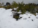 12_myvatn_053.JPG