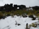 12_myvatn_054.JPG