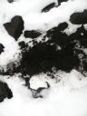 12_myvatn_078.JPG