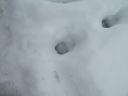 12_myvatn_098.JPG