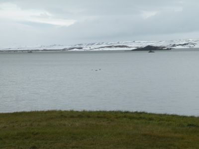 12_myvatn_175.JPG