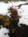 12_myvatn_105.JPG