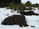 12_myvatn_110.JPG