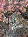 12_myvatn_112.JPG