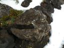 12_myvatn_124.JPG