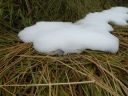 12_myvatn_186.JPG