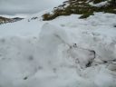 12_myvatn_188.JPG