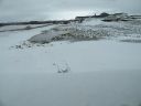 12_myvatn_192.JPG
