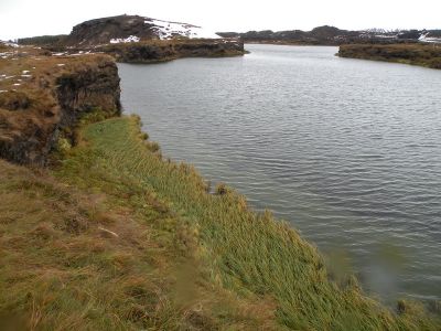 12_myvatn_208.JPG