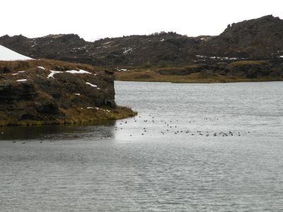 12_myvatn_210.JPG