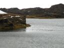 12_myvatn_210.JPG