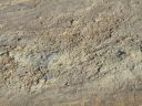 13_myvatn_092.JPG