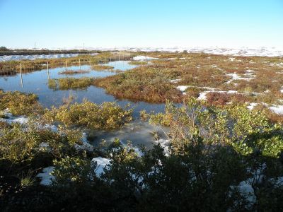 13_myvatn_365.JPG