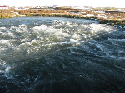 13_myvatn_373.JPG