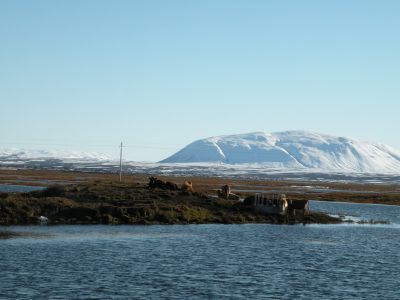 13_myvatn_392.JPG