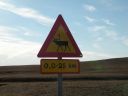 14_egilsstadir_060.JPG