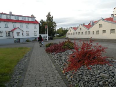 14_egilsstadir_290.JPG