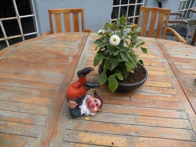 15_breiddaldsvik_010.JPG
