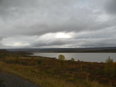 15_breiddaldsvik_021.JPG