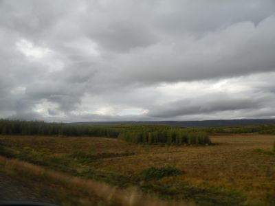 15_breiddaldsvik_022.JPG
