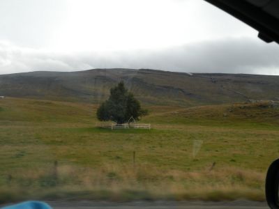 15_breiddaldsvik_025.JPG